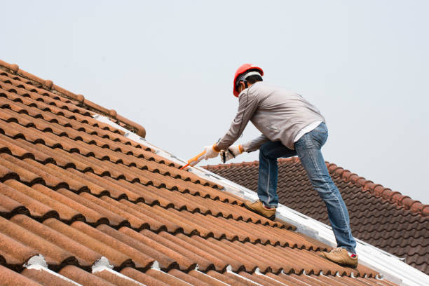 Steel Roofing in Premont, TX